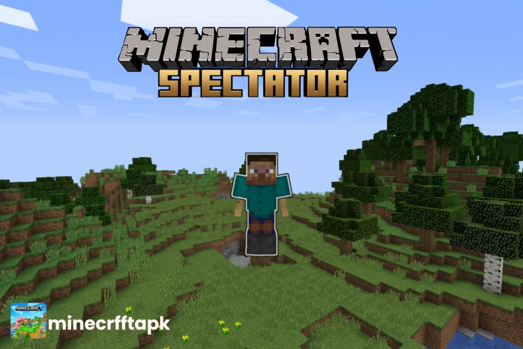 Minecraft Spectator