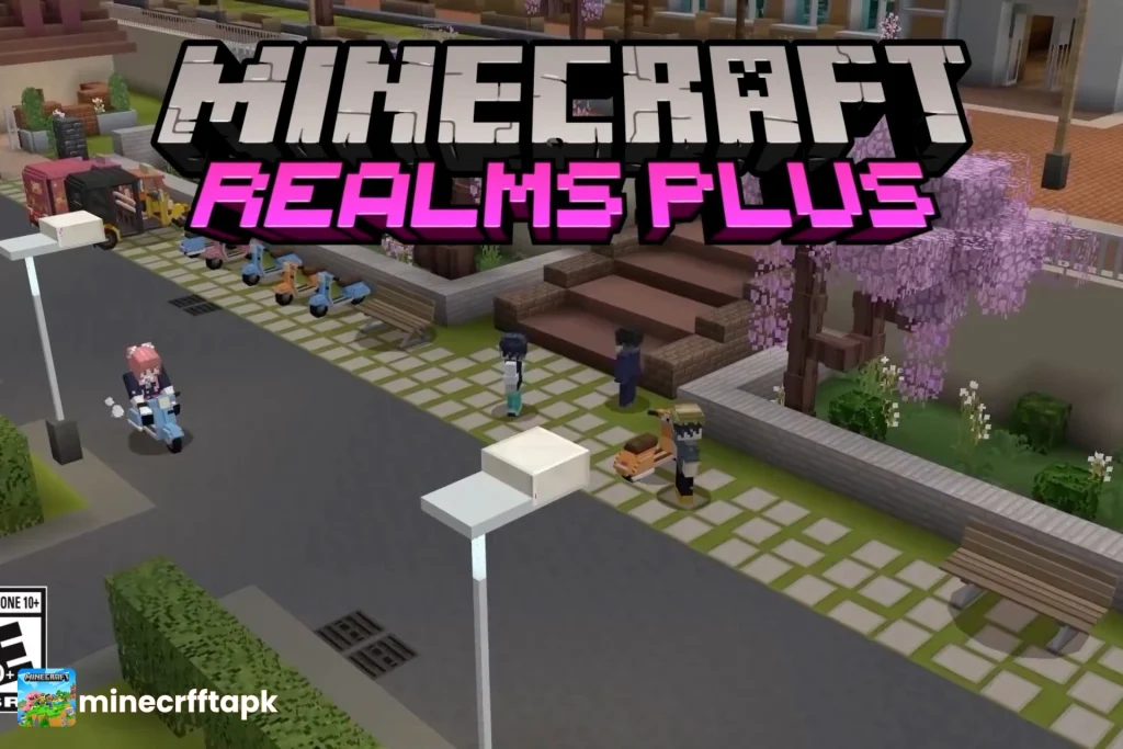 Bedrock Realm/Realms Plus